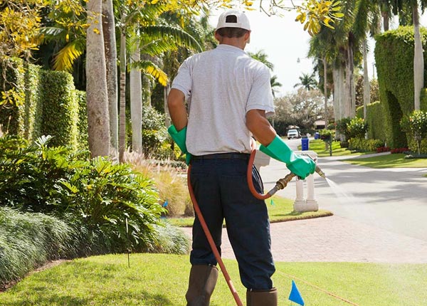 About Mechanicsburg PA Pest Control Pros